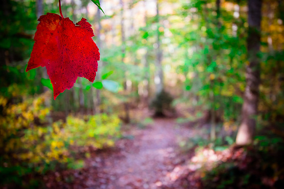 20141027-IMG_0120