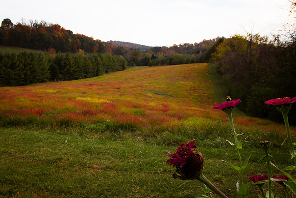 20141028-IMG_9297