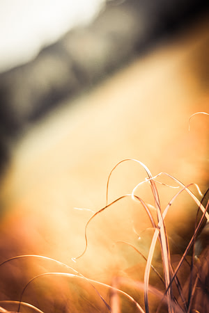 20141028-IMG_9265