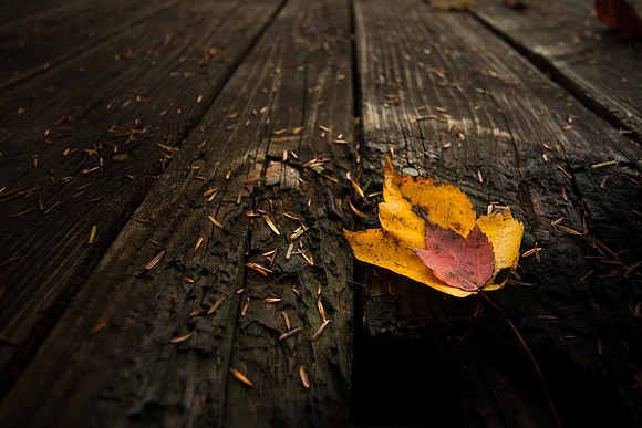 20141027-IMG_0099