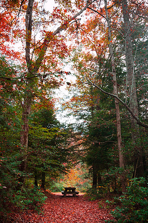 20141027-IMG_9980