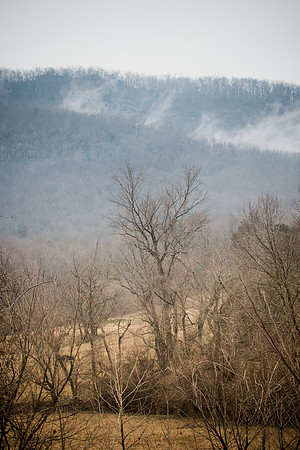 20150310-IMG_8388