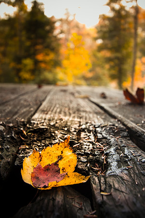 20141027-IMG_0105