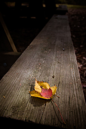 20141027-IMG_0091