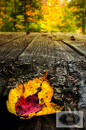 20141027-IMG_0106