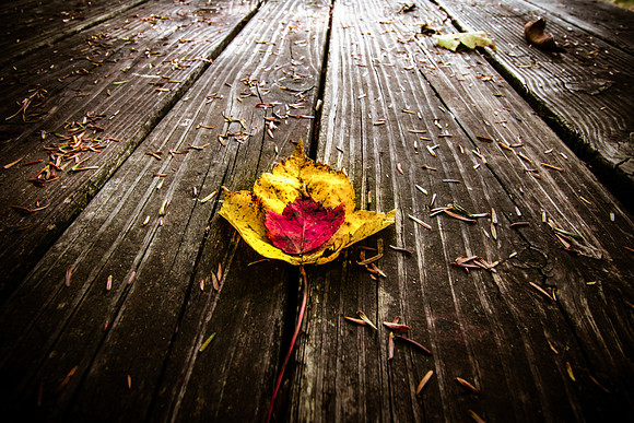 20141027-IMG_0108