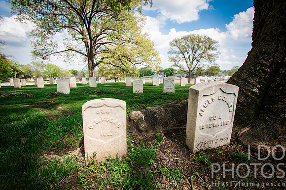 20150408-IMG_0554
