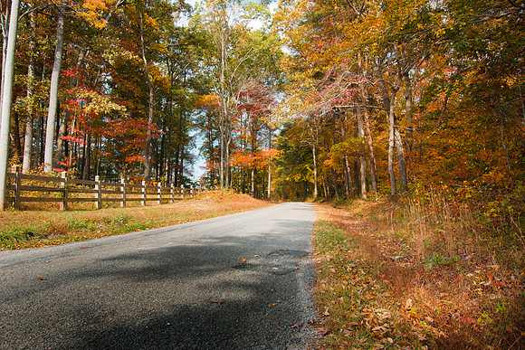 20141027-IMG_9951
