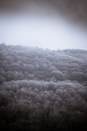 20150115-IMG_1025