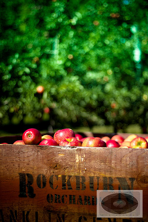 Rockburn Orchards