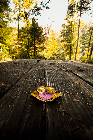 20141027-IMG_0112