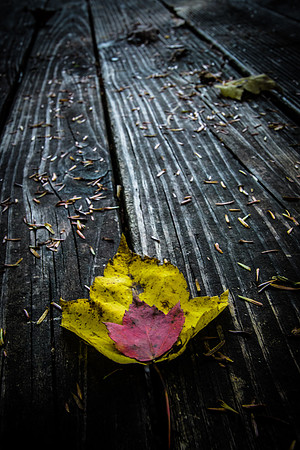20141027-IMG_0115