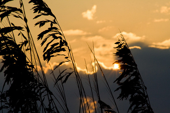 Beach Sunrise Hilton Head South Carolina