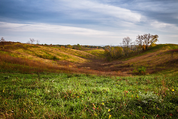 20141028-IMG_9394