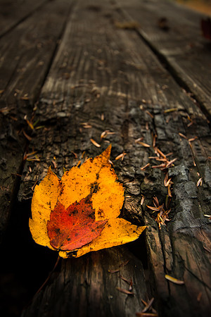 20141027-IMG_0102