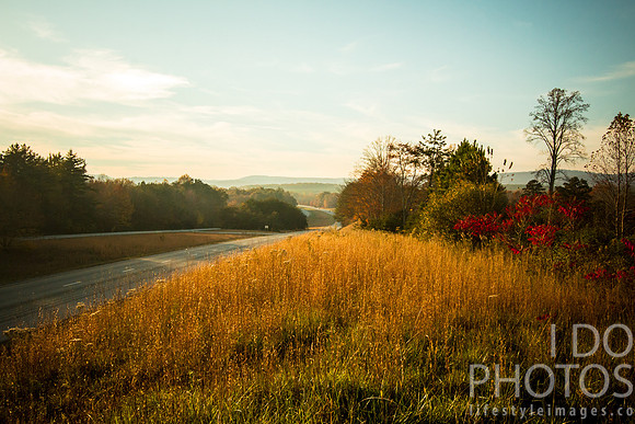20141027-IMG_0149