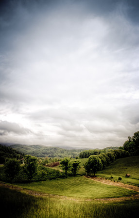 Tree Line Hay Bale Cloudy Sky