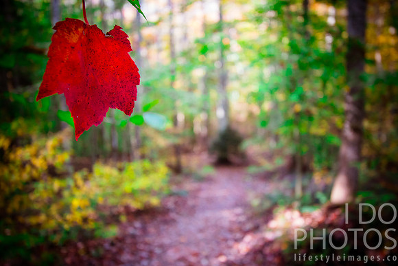 20141027-IMG_0120