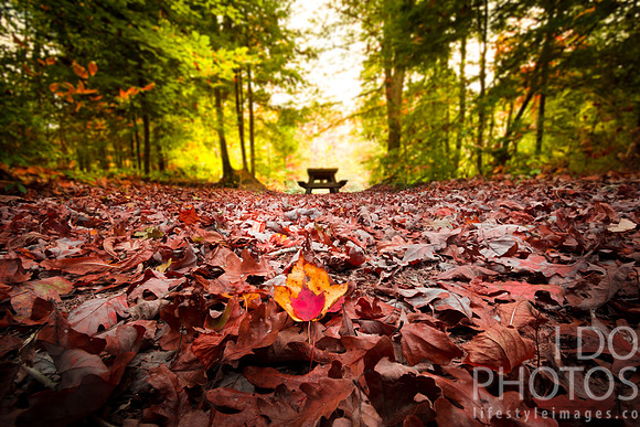 20141027-IMG_0085