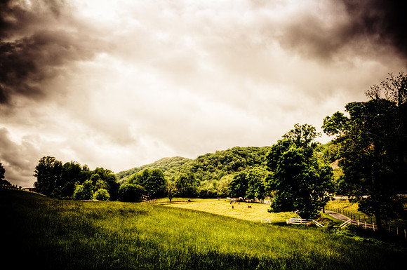 Pasture Lands
