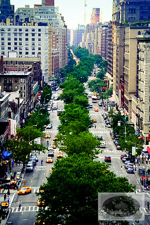 Divided City