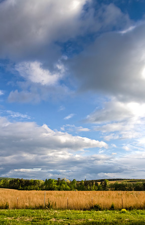 landscape pasture land