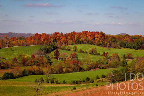 20141030-IMG_9558