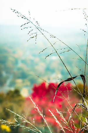 20141027-IMG_0230