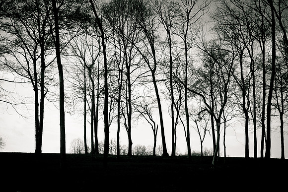 Cold Winter's Day