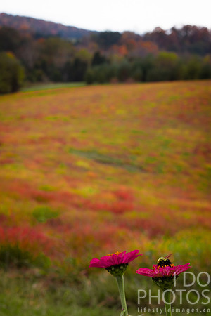 20141028-IMG_9306