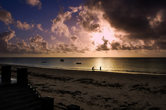 DSC_0421 (1)