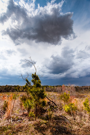 IMG_1105_6-photomatix