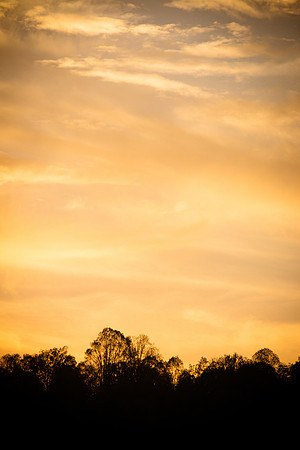 20141027-IMG_0297