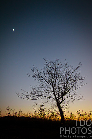 20141030-IMG_9828