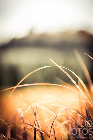 20141028-IMG_9260