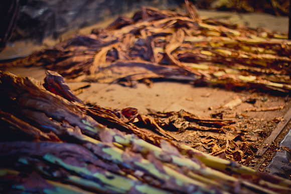 20141030-IMG_9572