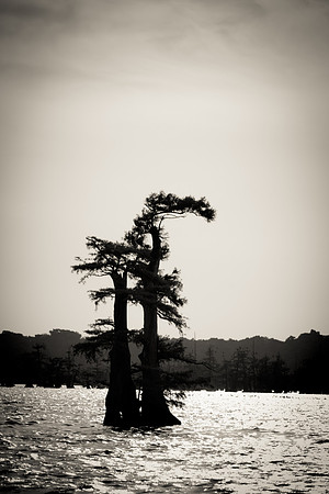 20140726-IMG_9780