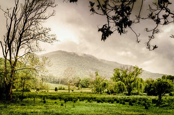 Mist Covered Mountain Landscape